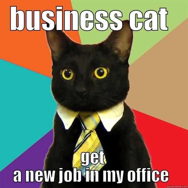 drew robinson - BUSINESS CAT  GET A NEW JOB IN MY OFFICE  Business Cat