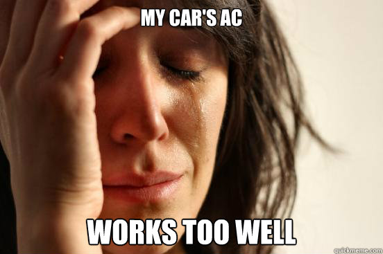 my car's ac works too well  First World Problems