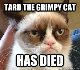 Tard The Grimpy Cat Has Died  