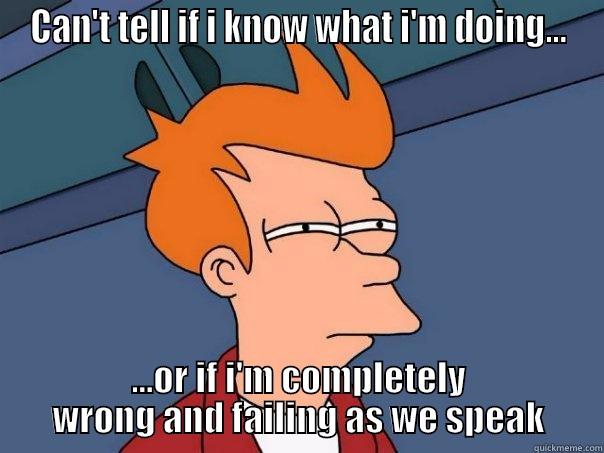 CAN'T TELL IF I KNOW WHAT I'M DOING... ...OR IF I'M COMPLETELY WRONG AND FAILING AS WE SPEAK Futurama Fry