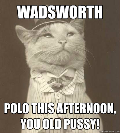 Wadsworth polo this afternoon, you old pussy!  Aristocat