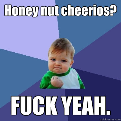 Honey nut cheerios? FUCK YEAH.  Success Kid