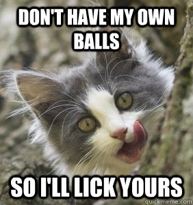 Don't have my own balls so i'll lick yours  Cat with No BALLS