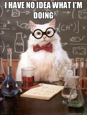 I HAVE NO IDEA WHAT I'M DOING   Chemistry Cat