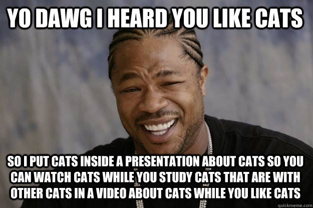 yo dawg i heard you like cats so i put cats inside a presentation about cats so you can watch cats while you study cats that are with other cats in a video about cats while you like cats  Xzibit meme
