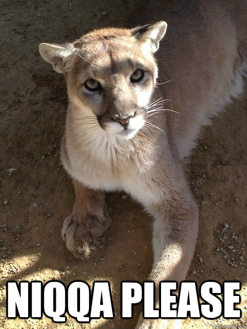  Niqqa Please -  Niqqa Please  Niqqa Please