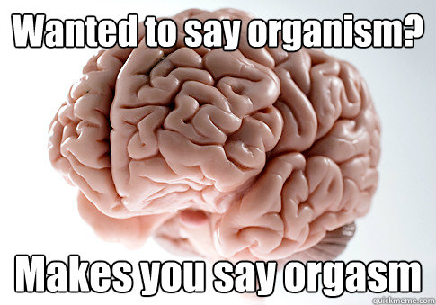 Wanted to say organism? Makes you say orgasm   Scumbag Brain