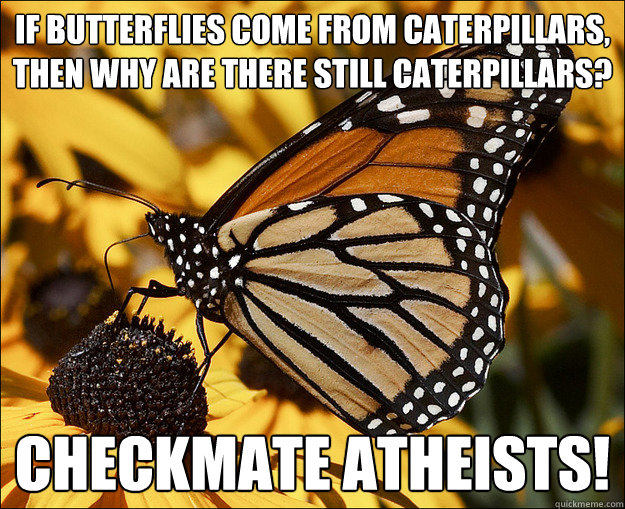 if butterflies come from caterpillars, then why are there still caterpillars? checkmate atheists! - if butterflies come from caterpillars, then why are there still caterpillars? checkmate atheists!  Checkmate Atheists