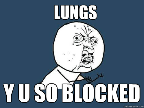 LUNGS Y U SO BLOCKED  Y U No