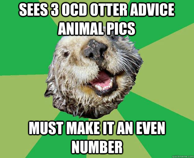 Sees 3 OCD Otter Advice Animal pics Must make it an even number  OCD Otter
