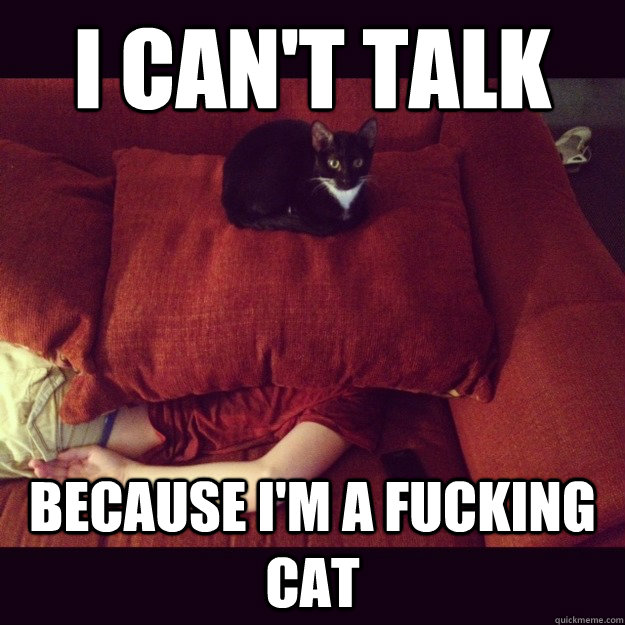 I can't talk because i'm a fucking cat  jealous cat