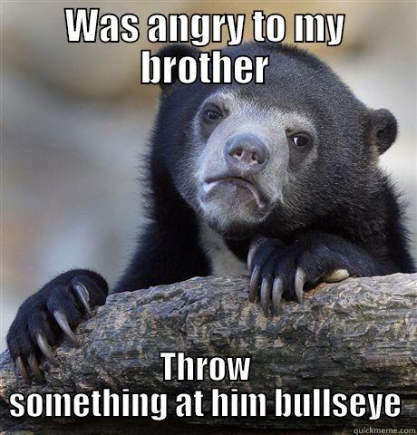 WAS ANGRY TO MY BROTHER THROW SOMETHING AT HIM BULLSEYE Confession Bear