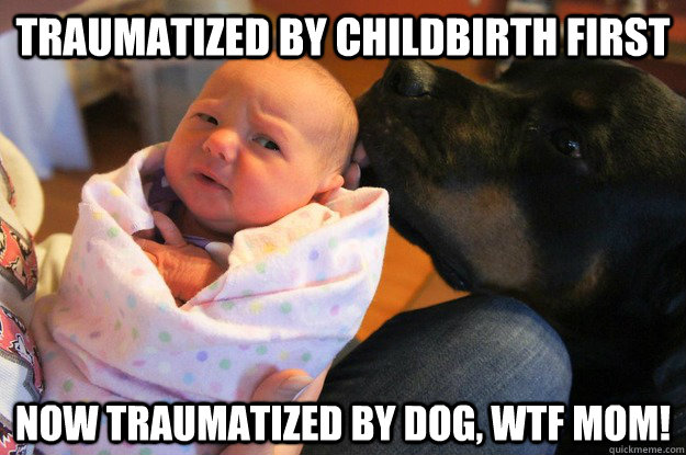 Traumatized by childbirth first now traumatized by dog, wtf mom! - Traumatized by childbirth first now traumatized by dog, wtf mom!  WTF Newborn