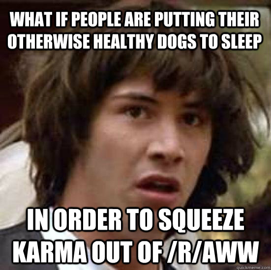 What if people are putting their otherwise healthy dogs to sleep in order to squeeze karma out of /r/aww  conspiracy keanu