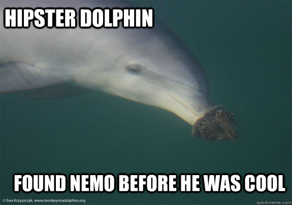 hipster dolphin found nemo before he was cool  