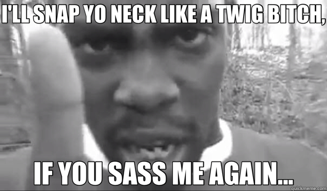 I'LL SNAP YO NECK LIKE A TWIG BITCH, IF YOU SASS ME AGAIN... - I'LL SNAP YO NECK LIKE A TWIG BITCH, IF YOU SASS ME AGAIN...  Misc