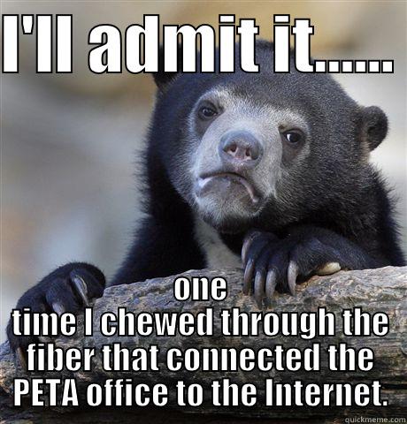 I'LL ADMIT IT......  ONE TIME I CHEWED THROUGH THE FIBER THAT CONNECTED THE PETA OFFICE TO THE INTERNET. Confession Bear