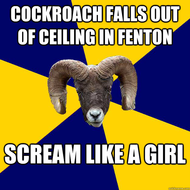 Cockroach falls out of ceiling in fenton scream like a girl   Suffolk Kid Ram