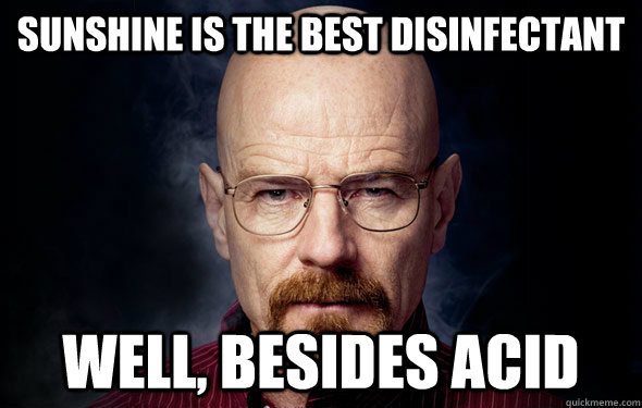 Sunshine is the best disinfectant  well, besides acid  Walter White - Badass