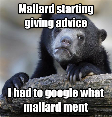 Mallard starting giving advice I had to google what mallard ment - Mallard starting giving advice I had to google what mallard ment  Confession Bear