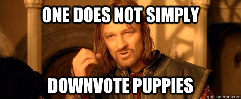 One does not simply Downvote puppies  One Does Not Simply