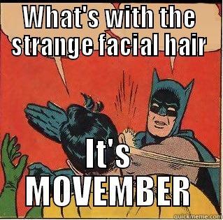 WHAT'S WITH THE STRANGE FACIAL HAIR IT'S MOVEMBER Slappin Batman