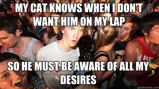 My cat knows when I don't want him on my lap
 so he must be aware of all my desires  Sudden Clarity Clarence