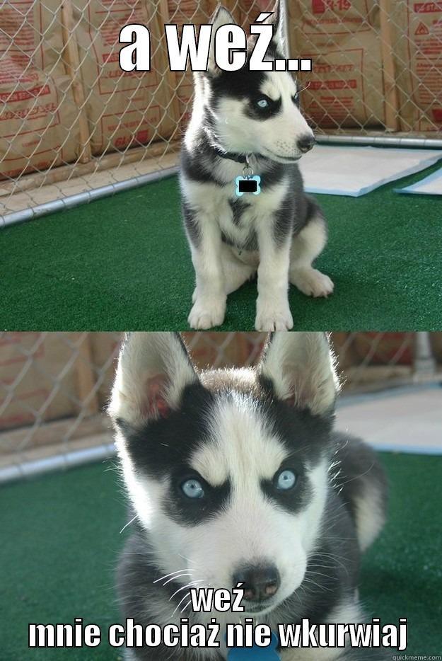 A WEŹ... WEŹ MNIE CHOCIAŻ NIE WKURWIAJ Insanity puppy