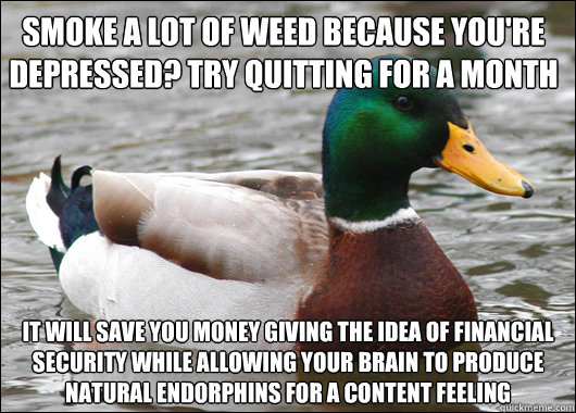 Smoke a lot of weed because you're depressed? try quitting for a month It will save you money giving the idea of financial security while allowing your brain to produce natural endorphins for a content feeling - Smoke a lot of weed because you're depressed? try quitting for a month It will save you money giving the idea of financial security while allowing your brain to produce natural endorphins for a content feeling  Actual Advice Mallard