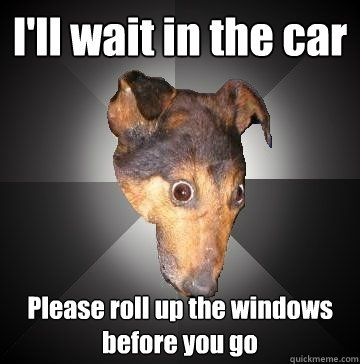 I'll wait in the car Please roll up the windows before you go - I'll wait in the car Please roll up the windows before you go  Depression Dog