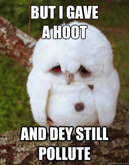 BUT I GAVE 
A HOOT                                                                                                                                     AND DEY STILL POLLUTE  Depressed Baby Owl