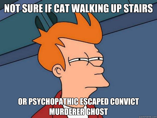 Not sure if cat walking up stairs Or psychopathic escaped convict murderer ghost  Futurama Fry