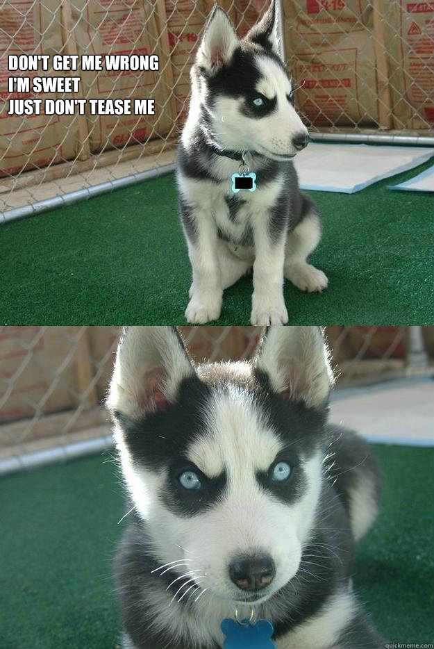 Don't get me wrong
i'm sweet
just don't tease me   Insanity puppy