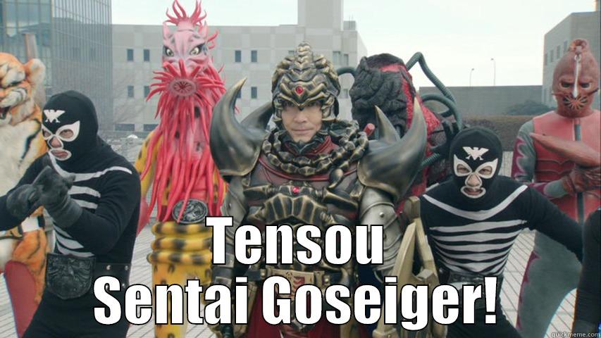  TENSOU SENTAI GOSEIGER! Misc