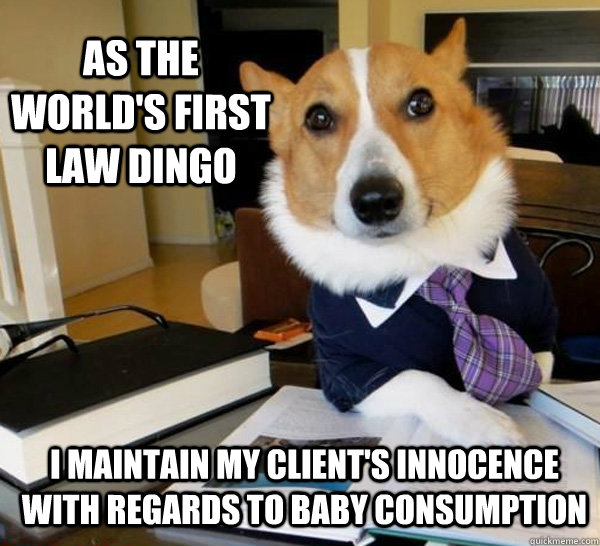 As the world's first Law dingo I maintain my client's innocence with regards to baby consumption - As the world's first Law dingo I maintain my client's innocence with regards to baby consumption  Lawyer Dog