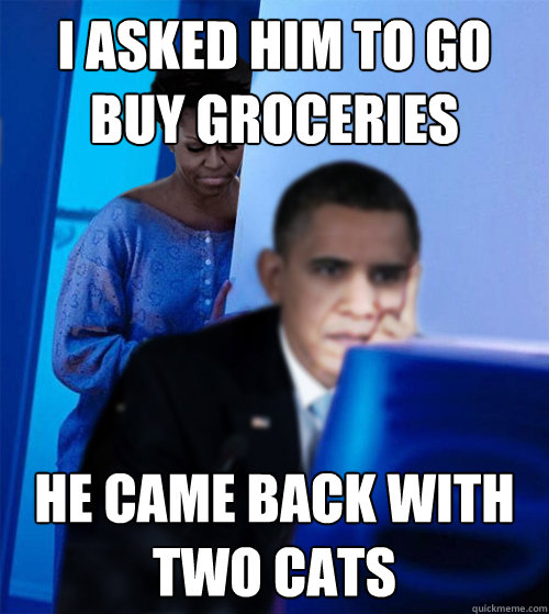 I asked him to go buy groceries  He came back with two cats  Redditor Obamas Wife