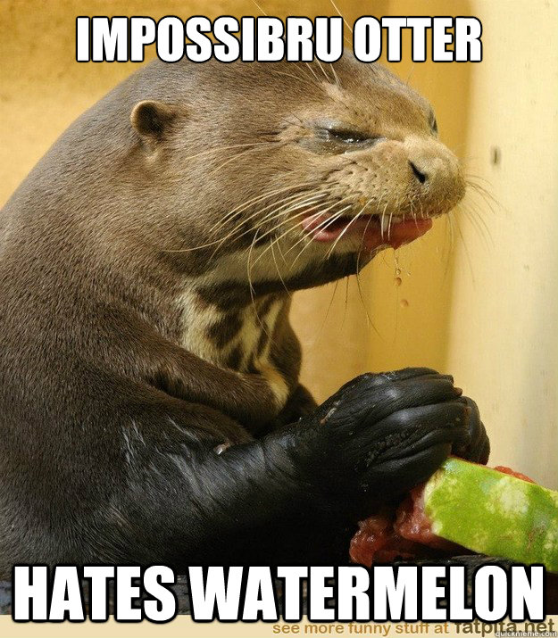 impossibru otter hates watermelon - impossibru otter hates watermelon  impossibru otter