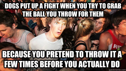 dogs put up a fight when you try to grab the ball you throw for them  because you pretend to throw it a few times before you actually do  Sudden Clarity Clarence