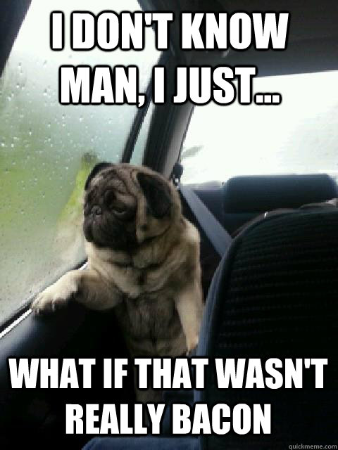 I don't know man, i just... What if that wasn't really bacon - I don't know man, i just... What if that wasn't really bacon  introspective pug on cesar millan