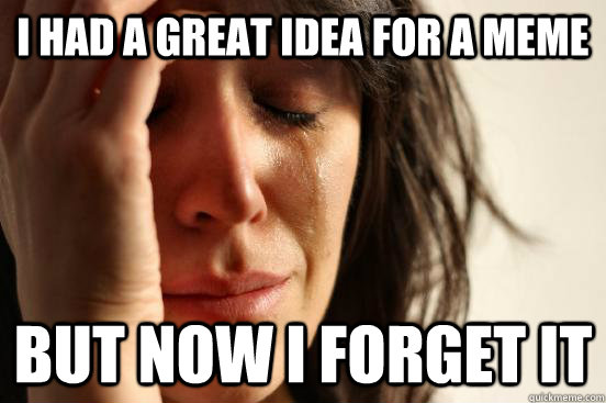 i had a great idea for a meme but now i forget it  First World Problems