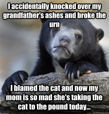 I accidentally knocked over my grandfather's ashes and broke the urn I blamed the cat and now my mom is so mad she's taking the cat to the pound today... - I accidentally knocked over my grandfather's ashes and broke the urn I blamed the cat and now my mom is so mad she's taking the cat to the pound today...  Confession Bear