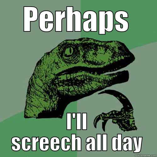 PERHAPS I'LL SCREECH ALL DAY Philosoraptor