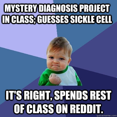 Mystery diagnosis project in class; guesses Sickle Cell It's right, spends rest of class on Reddit.  Success Kid