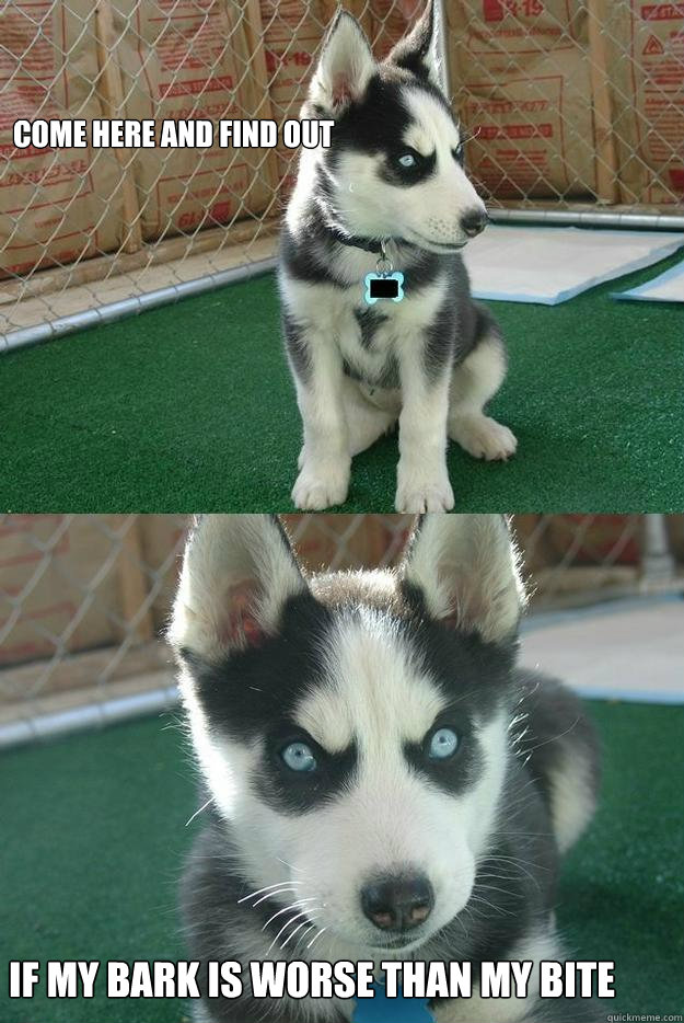 Come here and find out If my bark is worse than my bite  Insanity puppy