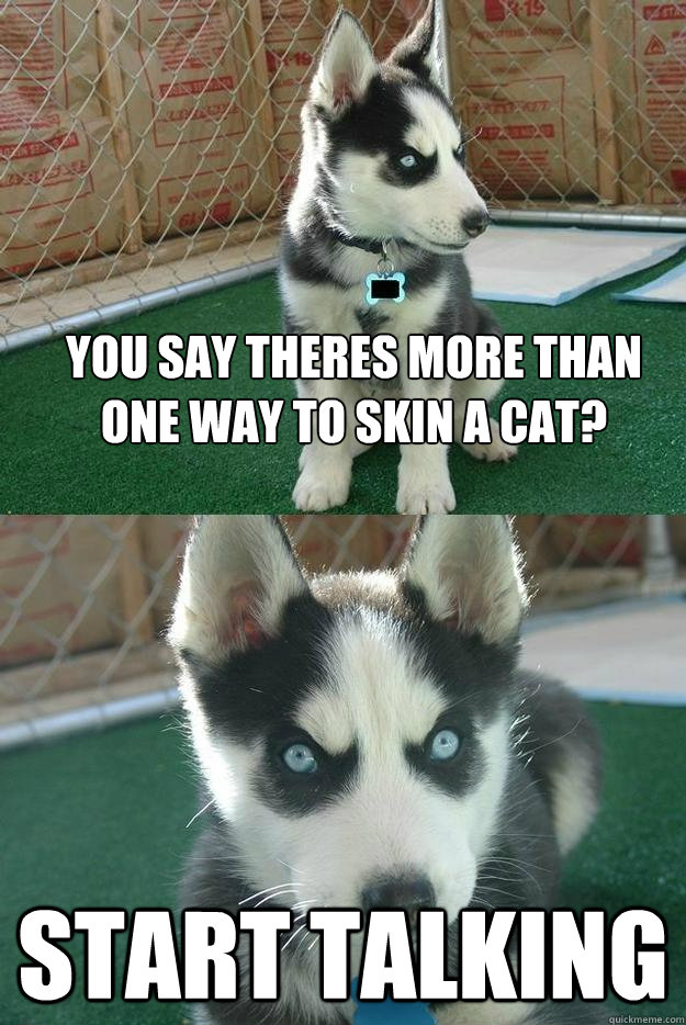 You say theres more than one way to skin a cat? Start talking  Insanity puppy
