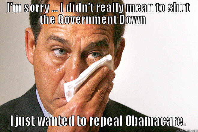 I'M SORRY ... I DIDN'T REALLY MEAN TO SHUT THE GOVERNMENT DOWN      I JUST WANTED TO REPEAL OBAMACARE. Misc