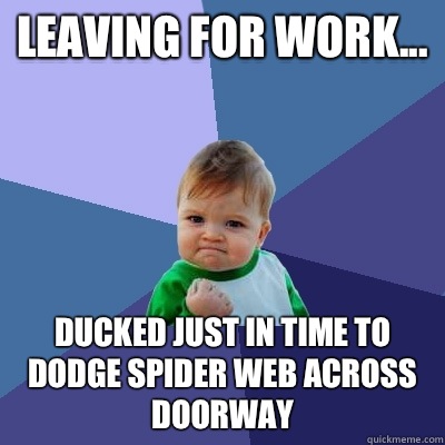 Leaving for work... Ducked just in time to dodge spider web across doorway  Success Kid