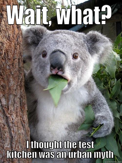 WAIT, WHAT? I THOUGHT THE TEST KITCHEN WAS AN URBAN MYTH koala bear