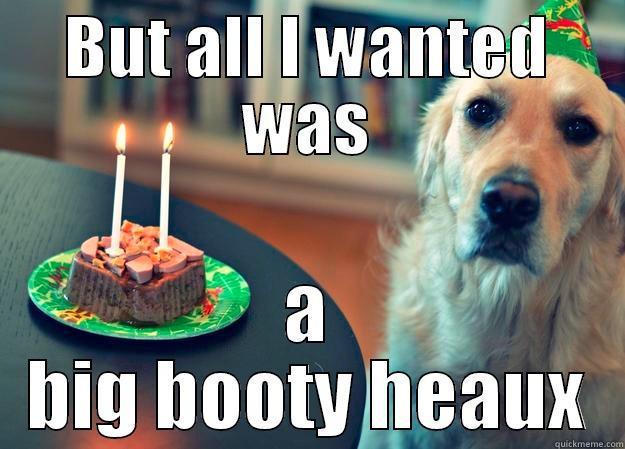 BUT ALL I WANTED WAS A BIG BOOTY HEAUX Sad Birthday Dog