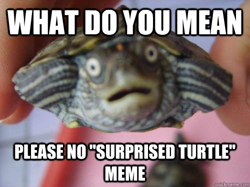 what do you mean please no 